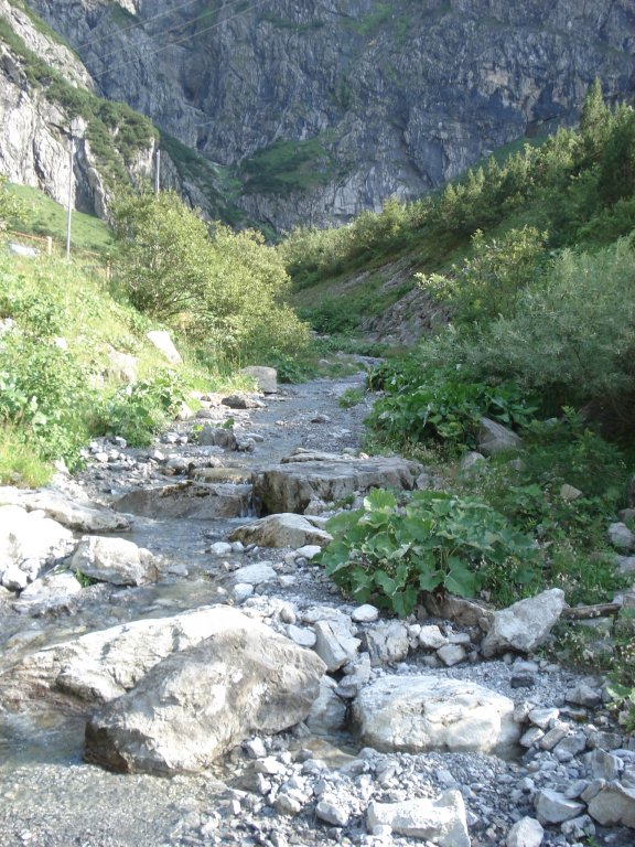 Натиснете снимката за да я уголемите

Име:DSC08817.jpg
Прегледи:1
Размер:149.2 КБ
ID:5399539