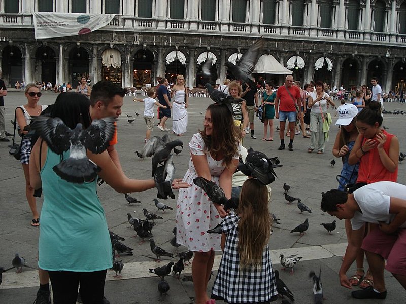 Натиснете снимката за да я уголемите

Име:DSC09297.jpg
Прегледи:1
Размер:167.7 КБ
ID:5399908