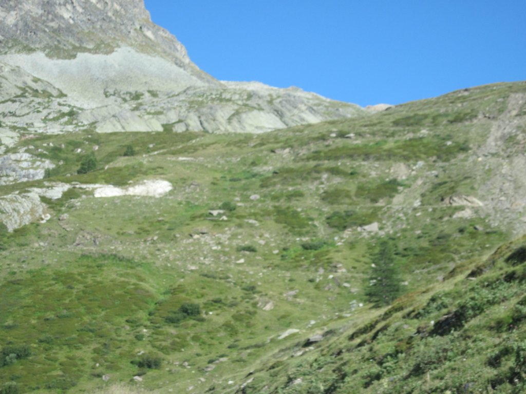 Натиснете снимката за да я уголемите

Име:IMG_2282.jpg
Прегледи:1
Размер:126.7 КБ
ID:5399983