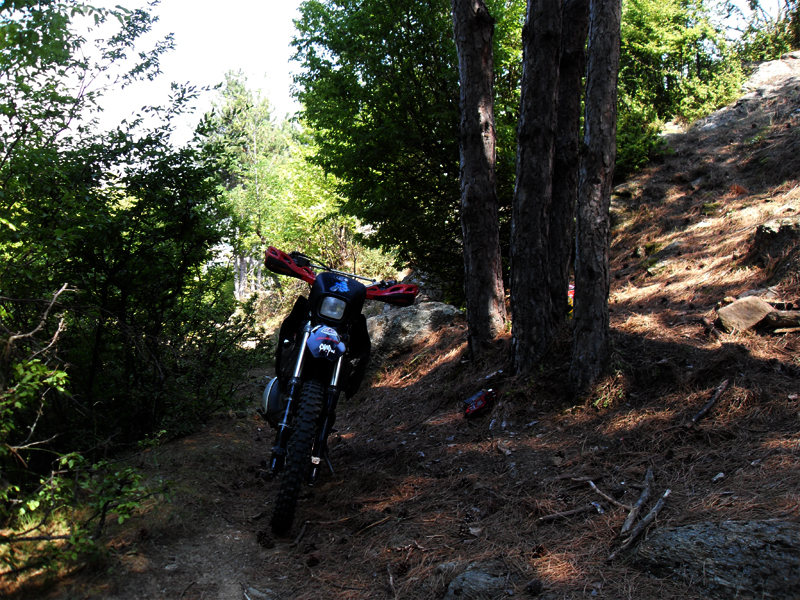 Натиснете снимката за да я уголемите

Име:SDC12877.JPG
Прегледи:1
Размер:621.5 КБ
ID:5400622