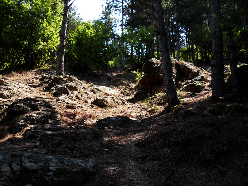 Натиснете снимката за да я уголемите

Име:SDC12878 copy.jpg
Прегледи:1
Размер:583.1 КБ
ID:5400623