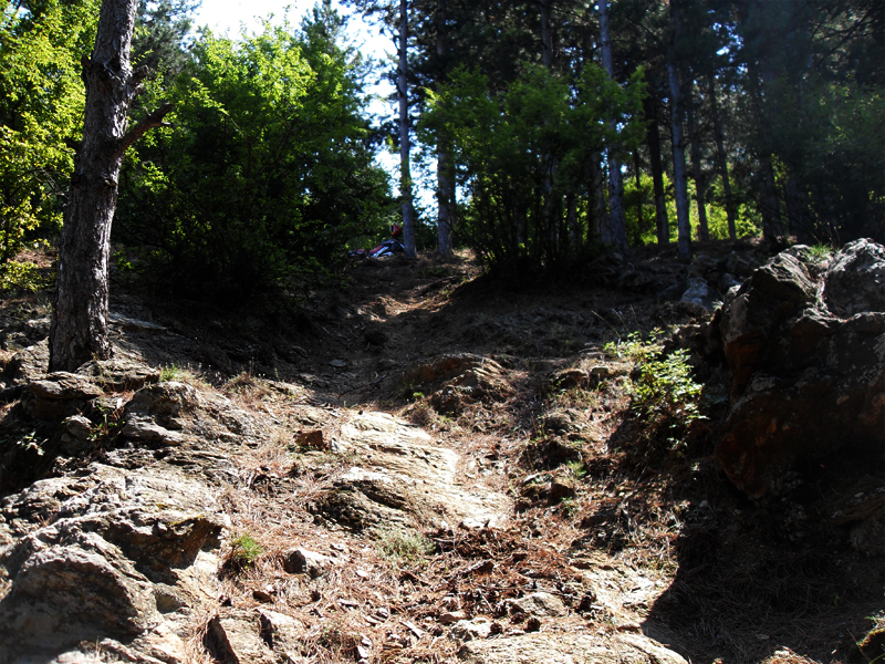 Натиснете снимката за да я уголемите

Име:SDC12879.JPG
Прегледи:1
Размер:642.0 КБ
ID:5400624