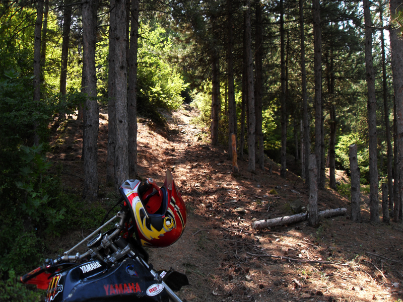 Натиснете снимката за да я уголемите

Име:SDC12880.JPG
Прегледи:1
Размер:599.1 КБ
ID:5400625