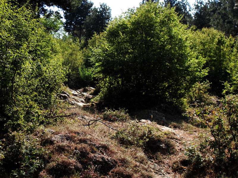 Натиснете снимката за да я уголемите

Име:SDC12881.JPG
Прегледи:1
Размер:768.7 КБ
ID:5400626