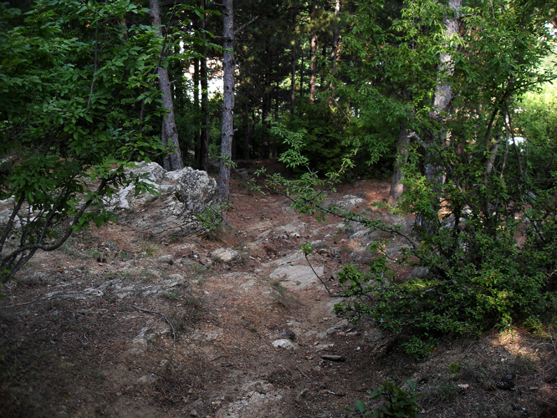 Натиснете снимката за да я уголемите

Име:SDC12886.JPG
Прегледи:1
Размер:636.3 КБ
ID:5400879