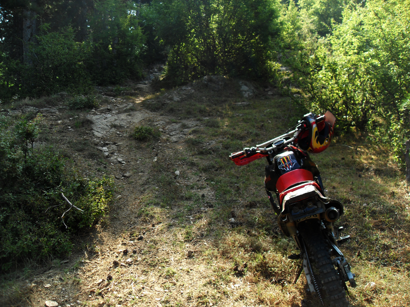 Натиснете снимката за да я уголемите

Име:SDC12887.JPG
Прегледи:1
Размер:643.5 КБ
ID:5400882