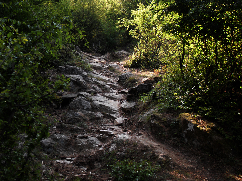 Натиснете снимката за да я уголемите

Име:SDC12889.JPG
Прегледи:1
Размер:621.9 КБ
ID:5400883