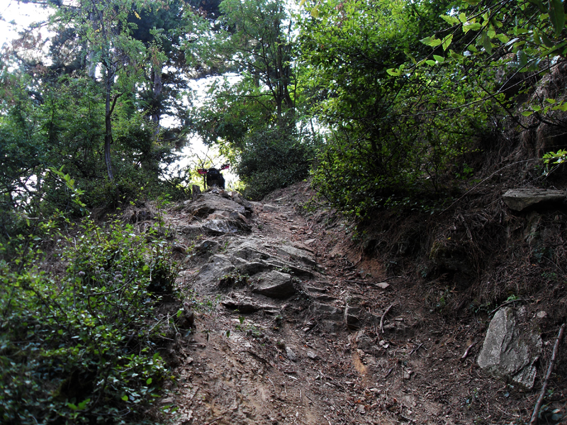 Натиснете снимката за да я уголемите

Име:SDC12895.JPG
Прегледи:1
Размер:697.6 КБ
ID:5400885