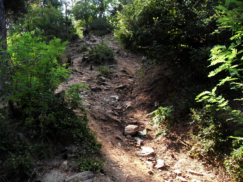 Натиснете снимката за да я уголемите

Име:SDC12894.JPG
Прегледи:1
Размер:705.2 КБ
ID:5400886