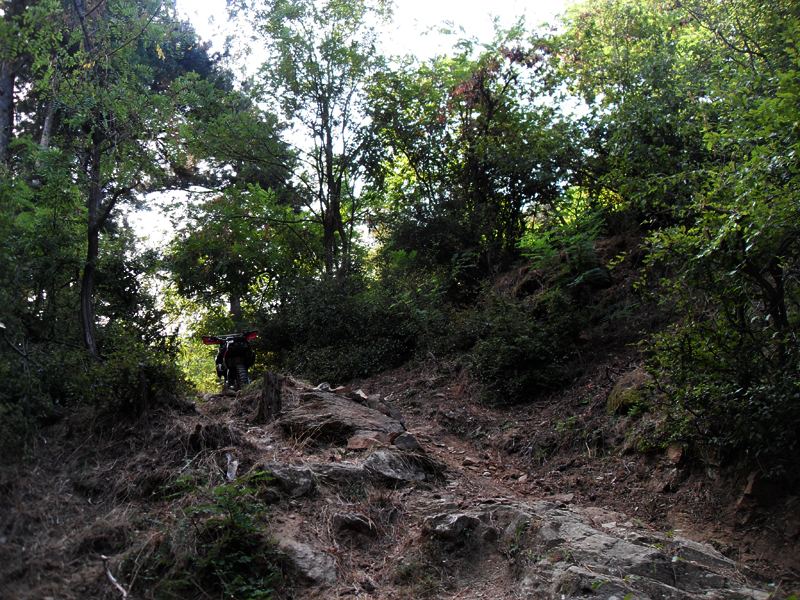 Натиснете снимката за да я уголемите

Име:SDC12896.JPG
Прегледи:1
Размер:663.2 КБ
ID:5400887