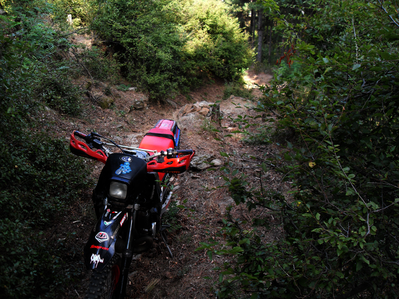 Натиснете снимката за да я уголемите

Име:SDC12892.JPG
Прегледи:1
Размер:620.7 КБ
ID:5400888