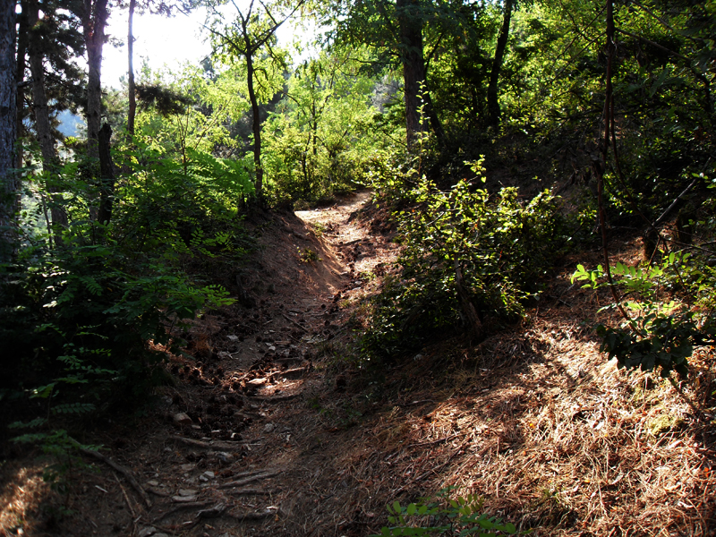 Натиснете снимката за да я уголемите

Име:SDC12897.JPG
Прегледи:1
Размер:718.2 КБ
ID:5400889