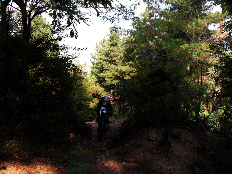 Натиснете снимката за да я уголемите

Име:SDC12898.JPG
Прегледи:1
Размер:583.0 КБ
ID:5400890