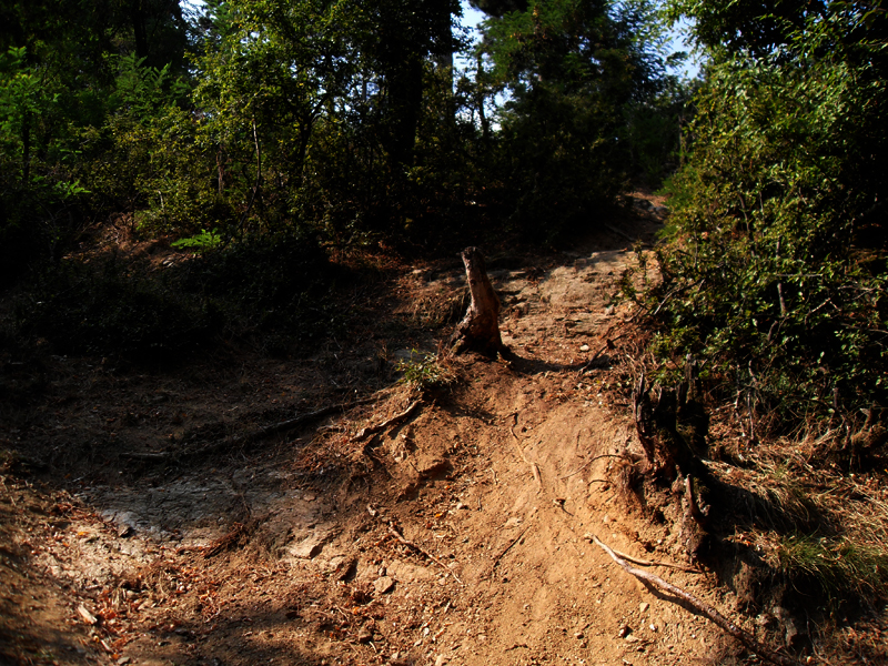 Натиснете снимката за да я уголемите

Име:SDC12899.JPG
Прегледи:1
Размер:700.5 КБ
ID:5400891