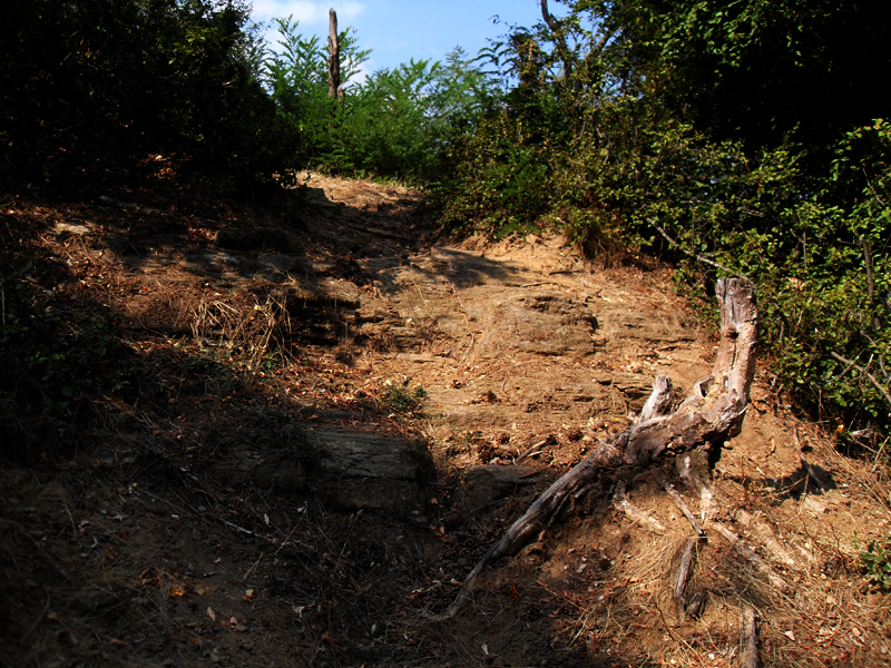 Натиснете снимката за да я уголемите

Име:SDC12901.JPG
Прегледи:1
Размер:653.1 КБ
ID:5400892