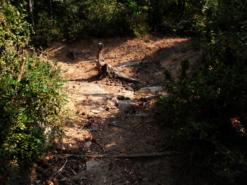 Натиснете снимката за да я уголемите

Име:SDC12900.JPG
Прегледи:1
Размер:601.3 КБ
ID:5400893