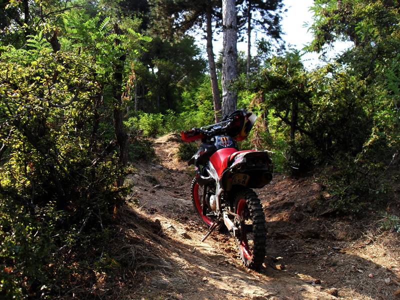 Натиснете снимката за да я уголемите

Име:SDC12902.JPG
Прегледи:1
Размер:735.0 КБ
ID:5400894