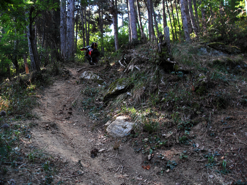 Натиснете снимката за да я уголемите

Име:SDC12903.JPG
Прегледи:1
Размер:613.0 КБ
ID:5400896