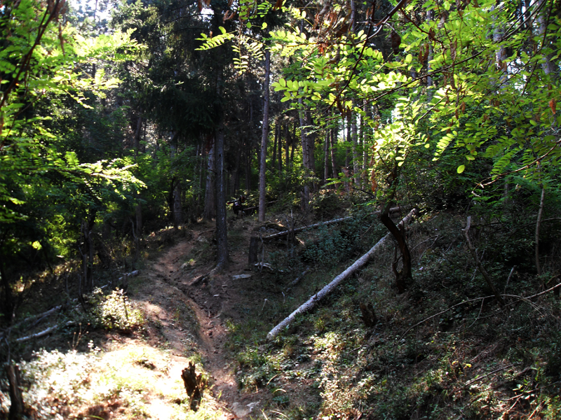 Натиснете снимката за да я уголемите

Име:SDC12907.JPG
Прегледи:1
Размер:693.1 КБ
ID:5400897