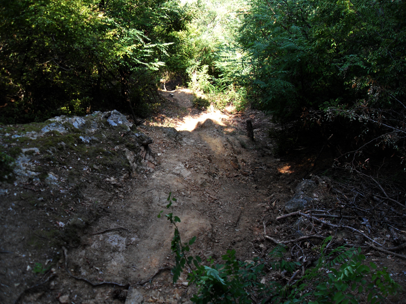 Натиснете снимката за да я уголемите

Име:SDC12909.JPG
Прегледи:1
Размер:574.0 КБ
ID:5400899