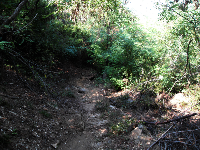 Натиснете снимката за да я уголемите

Име:SDC12910.JPG
Прегледи:1
Размер:681.7 КБ
ID:5400900