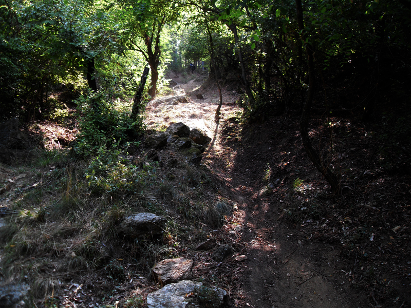 Натиснете снимката за да я уголемите

Име:SDC12911.JPG
Прегледи:1
Размер:603.3 КБ
ID:5400901