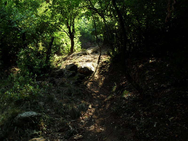 Натиснете снимката за да я уголемите

Име:SDC12912.JPG
Прегледи:1
Размер:578.4 КБ
ID:5400902