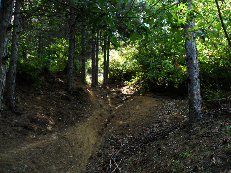 Натиснете снимката за да я уголемите

Име:SDC12919.JPG
Прегледи:1
Размер:644.4 КБ
ID:5400905