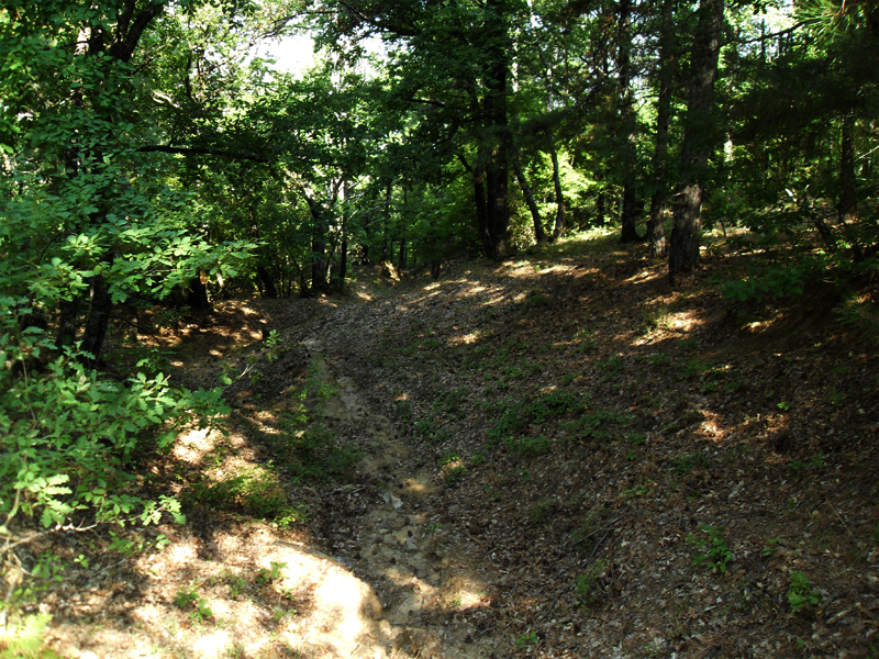 Натиснете снимката за да я уголемите

Име:SDC12921.JPG
Прегледи:1
Размер:692.9 КБ
ID:5400906