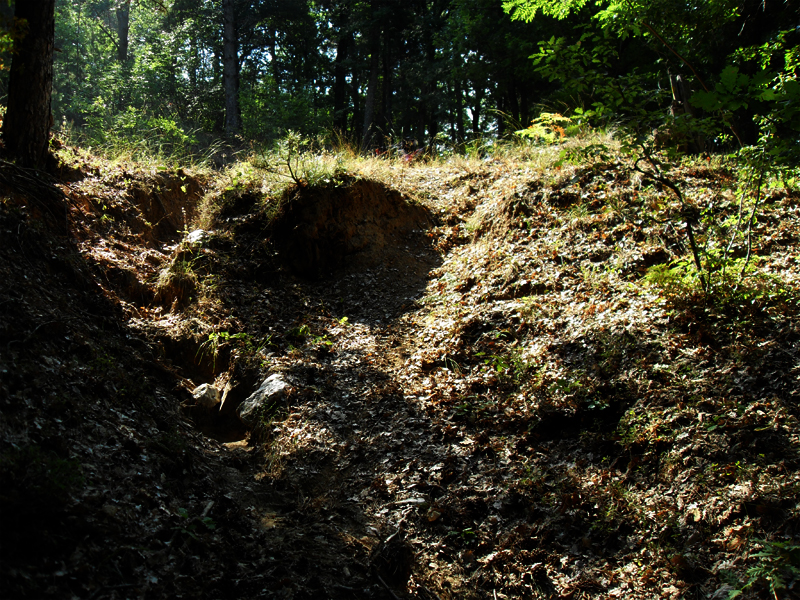 Натиснете снимката за да я уголемите

Име:SDC12922.JPG
Прегледи:1
Размер:706.1 КБ
ID:5400907
