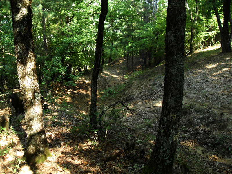 Натиснете снимката за да я уголемите

Име:SDC12923.JPG
Прегледи:1
Размер:701.5 КБ
ID:5400908