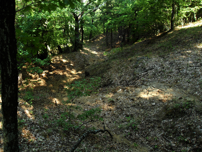 Натиснете снимката за да я уголемите

Име:SDC12924.JPG
Прегледи:1
Размер:658.6 КБ
ID:5400909