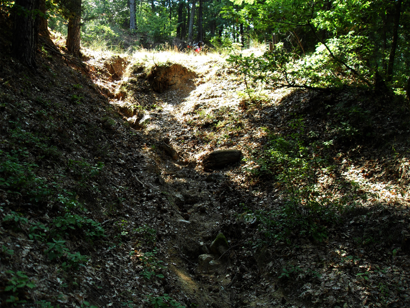 Натиснете снимката за да я уголемите

Име:SDC12925.JPG
Прегледи:1
Размер:682.6 КБ
ID:5400910