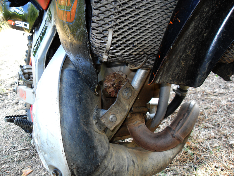 Натиснете снимката за да я уголемите

Име:SDC12927.JPG
Прегледи:1
Размер:533.1 КБ
ID:5400912