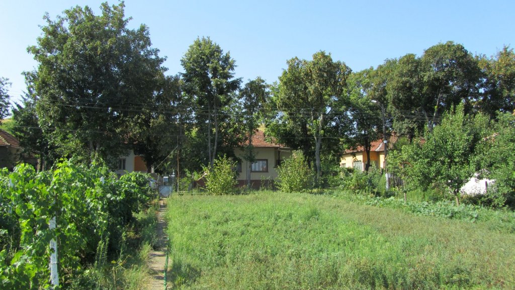 Натиснете снимката за да я уголемите

Име:IMG_4151.jpg
Прегледи:1
Размер:192.1 КБ
ID:5402506