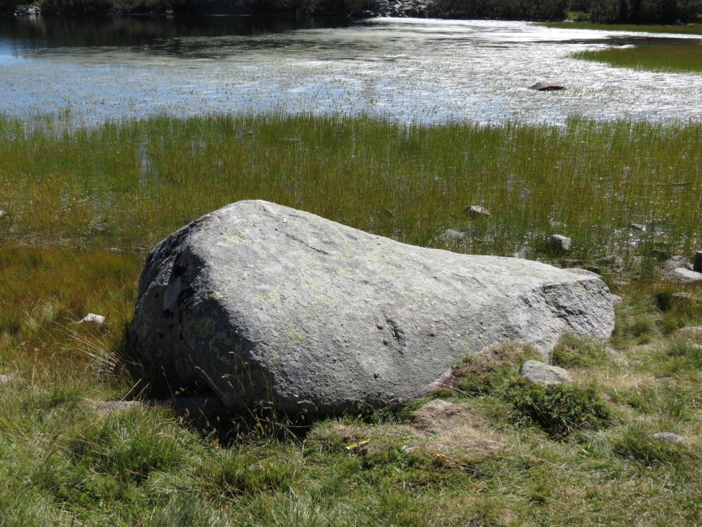 Натиснете снимката за да я уголемите

Име:IMG_0799.jpg
Прегледи:1
Размер:249.8 КБ
ID:5402730