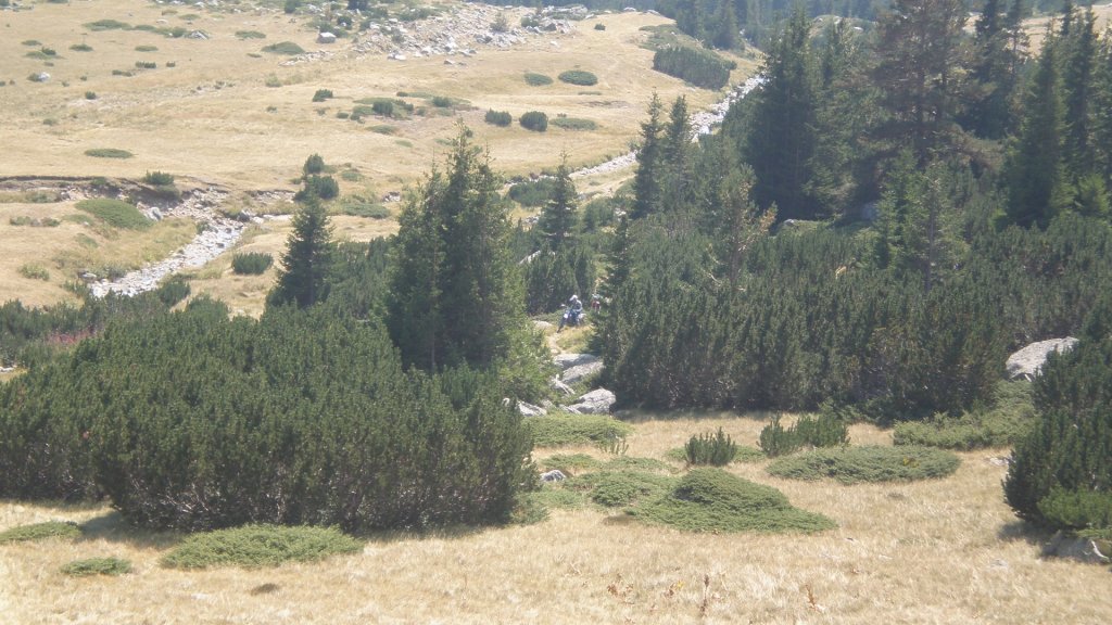 Натиснете снимката за да я уголемите

Име:P8260813.jpg
Прегледи:1
Размер:155.5 КБ
ID:5402935