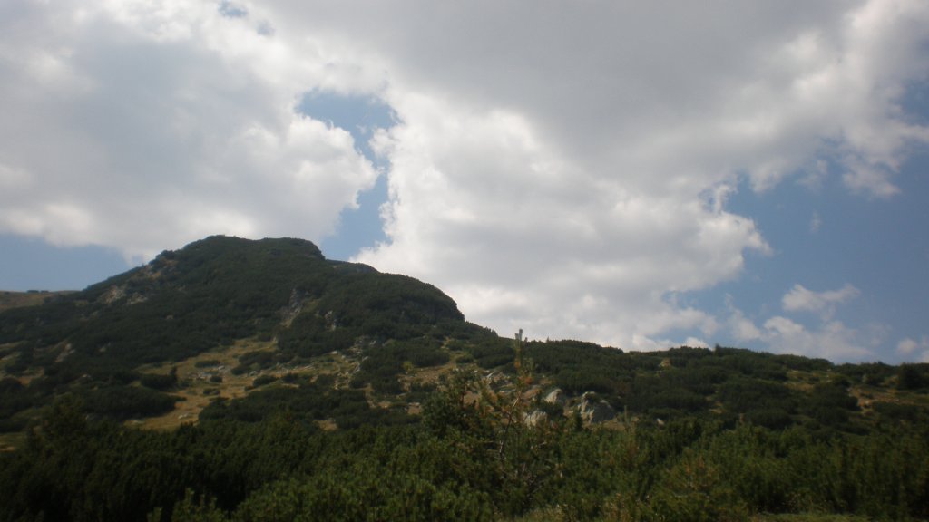 Натиснете снимката за да я уголемите

Име:P8260816.jpg
Прегледи:1
Размер:63.8 КБ
ID:5402938