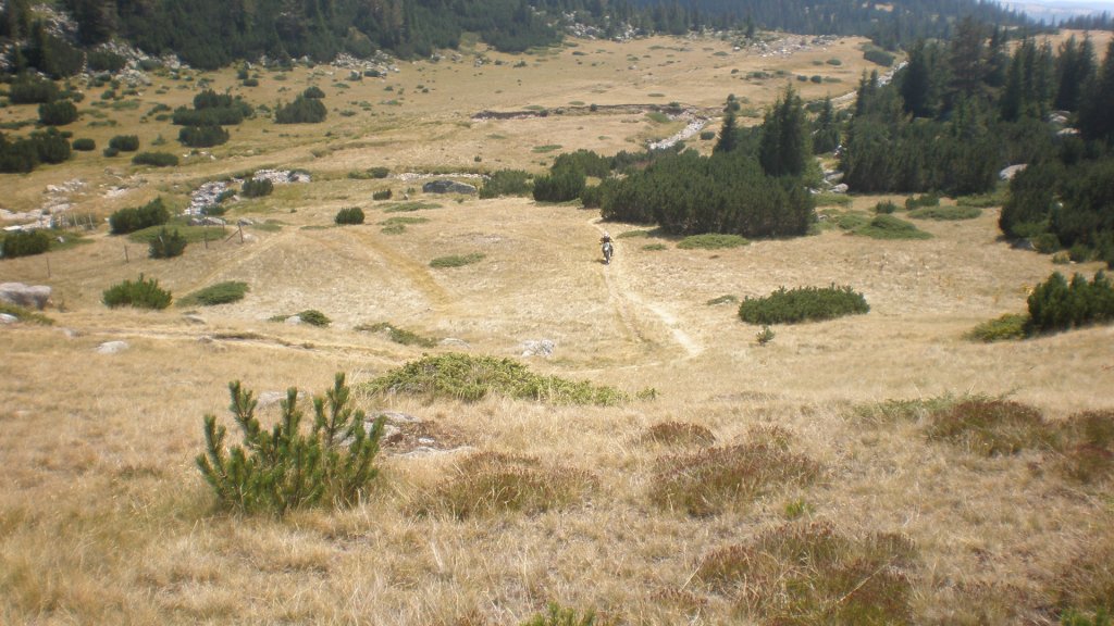 Натиснете снимката за да я уголемите

Име:P8260817.jpg
Прегледи:1
Размер:147.6 КБ
ID:5402939