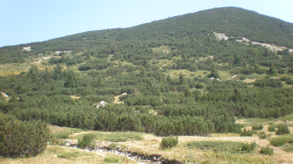 Натиснете снимката за да я уголемите

Име:P8260825.jpg
Прегледи:1
Размер:144.5 КБ
ID:5402947