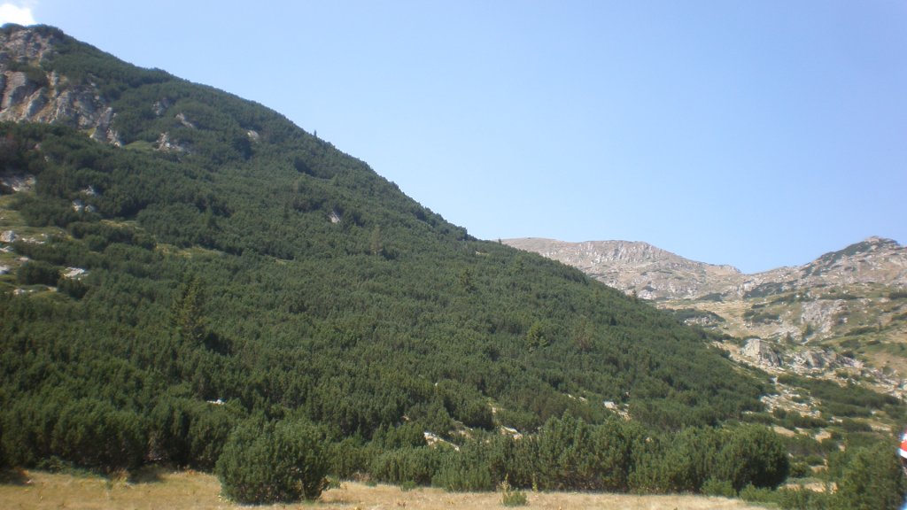 Натиснете снимката за да я уголемите

Име:P8260826.jpg
Прегледи:1
Размер:103.2 КБ
ID:5402948