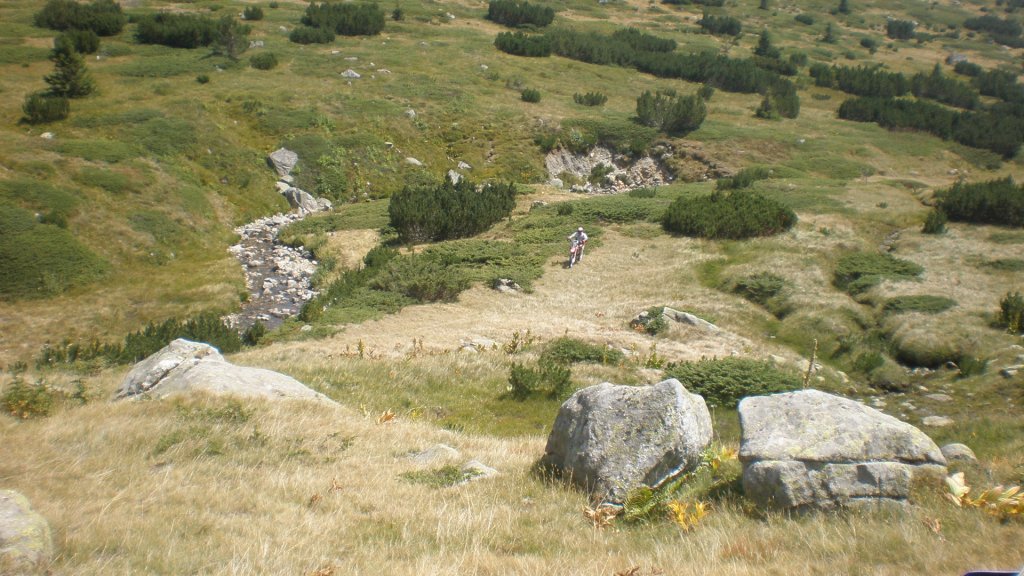Натиснете снимката за да я уголемите

Име:P8260828.jpg
Прегледи:1
Размер:157.5 КБ
ID:5402950