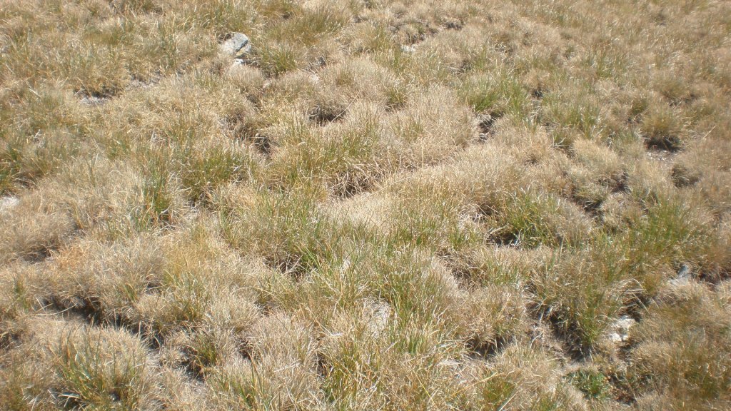 Натиснете снимката за да я уголемите

Име:P8260859.jpg
Прегледи:1
Размер:223.1 КБ
ID:5402998