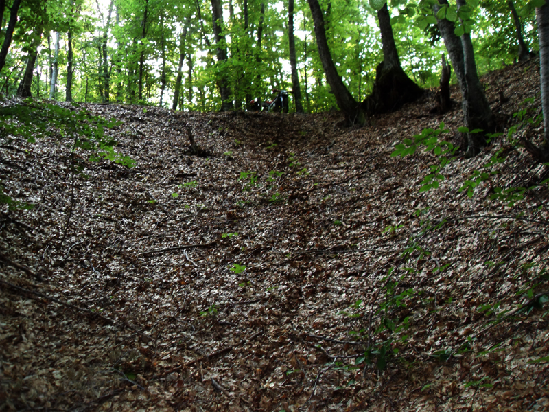 Натиснете снимката за да я уголемите

Име:SDC12941.JPG
Прегледи:1
Размер:705.7 КБ
ID:5403123