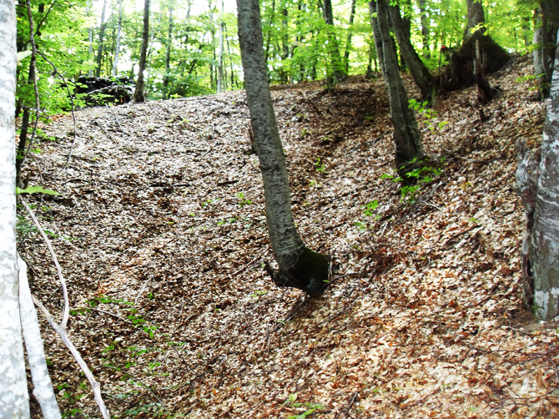 Натиснете снимката за да я уголемите

Име:SDC12945.JPG
Прегледи:1
Размер:806.5 КБ
ID:5403124