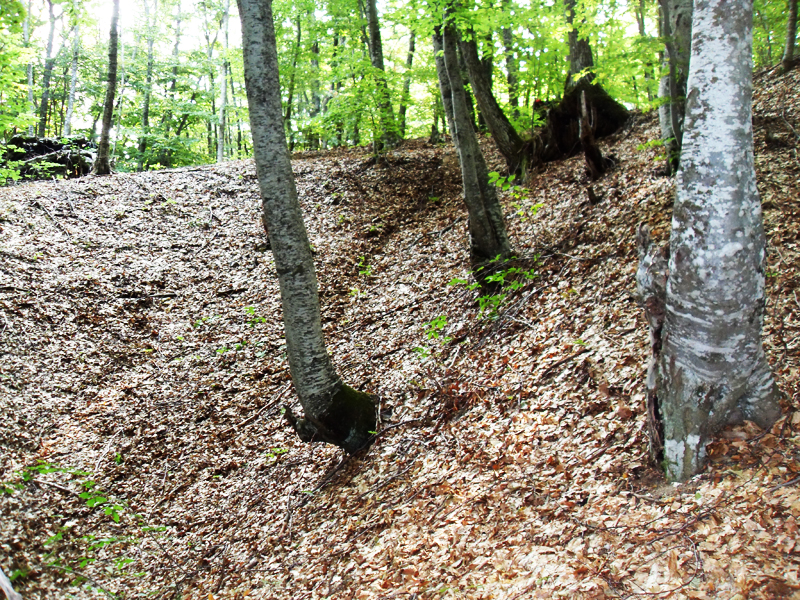 Натиснете снимката за да я уголемите

Име:SDC12946.JPG
Прегледи:1
Размер:841.7 КБ
ID:5403125