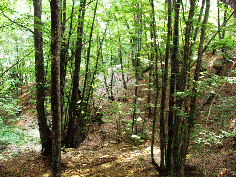 Натиснете снимката за да я уголемите

Име:SDC12952.JPG
Прегледи:1
Размер:807.1 КБ
ID:5403128