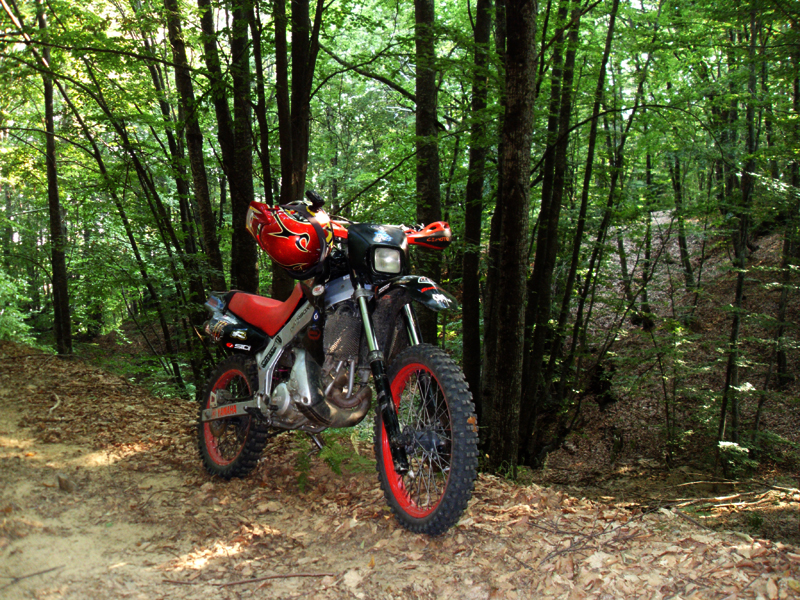 Натиснете снимката за да я уголемите

Име:SDC12953.JPG
Прегледи:1
Размер:740.1 КБ
ID:5403129