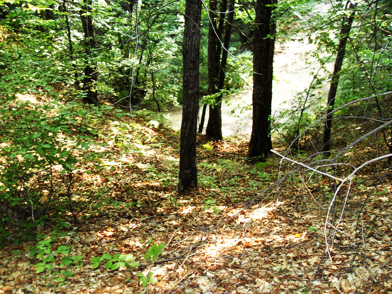 Натиснете снимката за да я уголемите

Име:SDC12954.JPG
Прегледи:1
Размер:846.3 КБ
ID:5403130