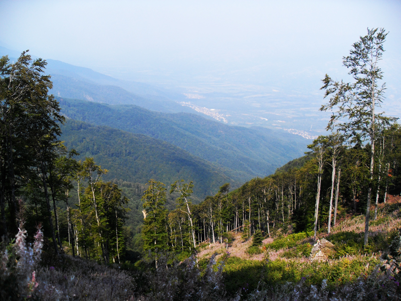 Натиснете снимката за да я уголемите

Име:SDC12964.JPG
Прегледи:1
Размер:514.5 КБ
ID:5403172